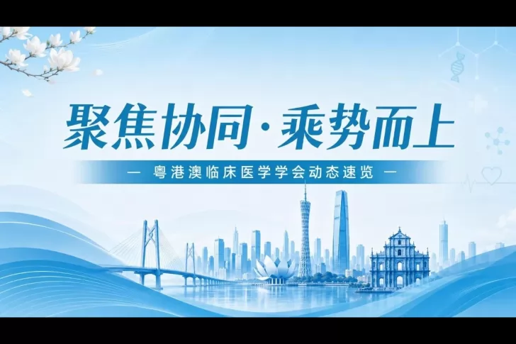 聚焦协同・乘势而上 | 粤港澳临